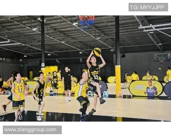 深圳篮球队逆袭之路：从低谷到巅峰的奋斗与荣耀纪实