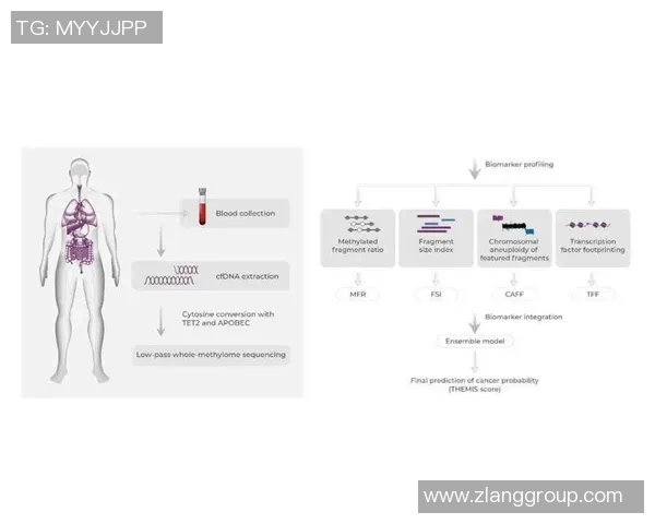 深圳排球队团队协作表现的数据分析与提升策略探讨